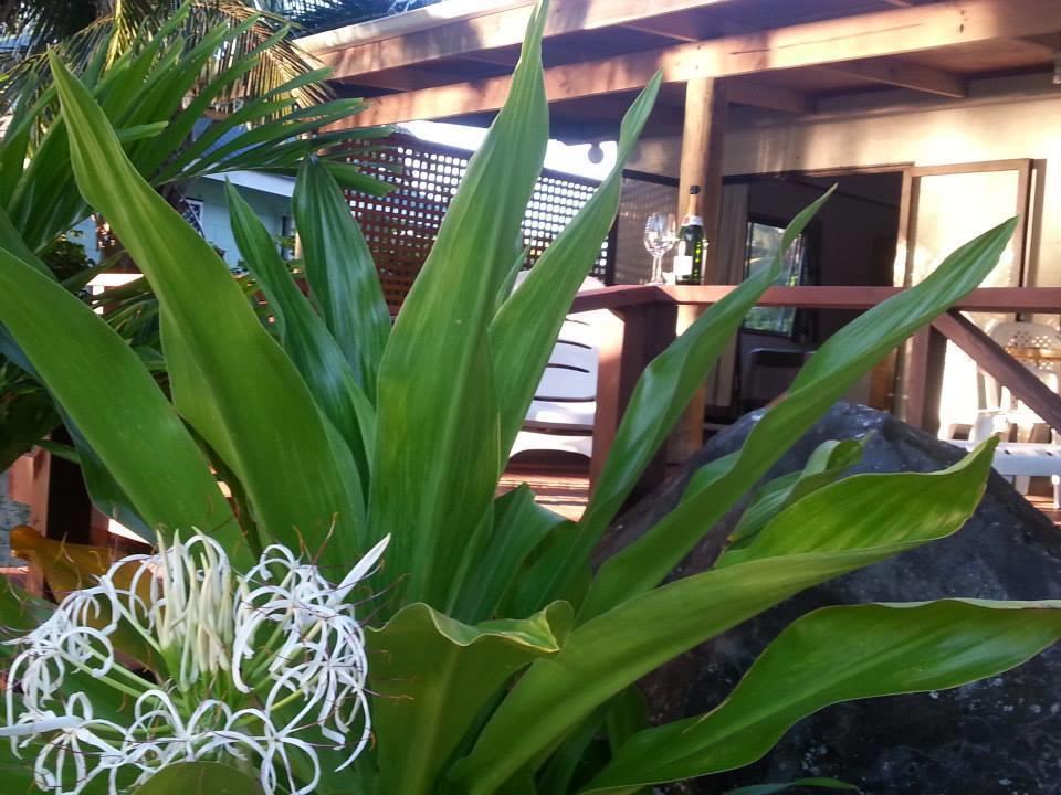 Sunset Palms Rarotonga Hotel Bagian luar foto